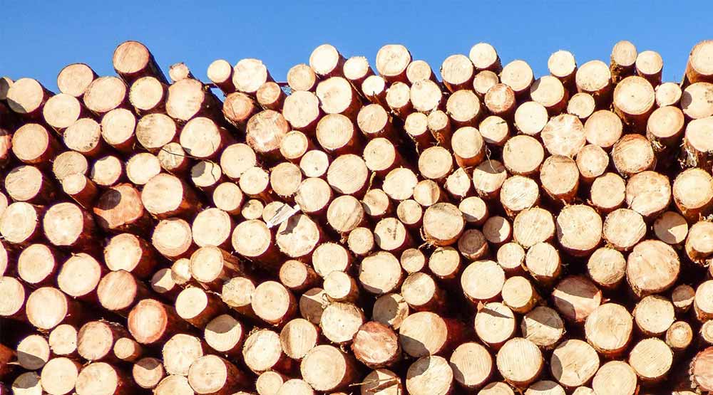 NEWS legno dal legno al infisso working process