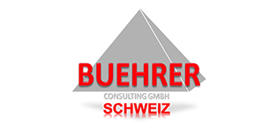 partners working process buehrer
