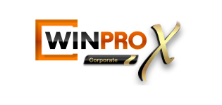 tech partners working process winpro