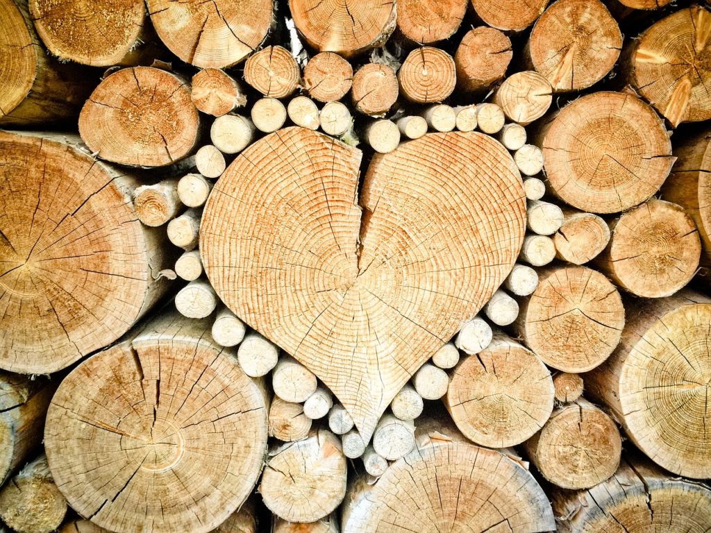 cuore di legno